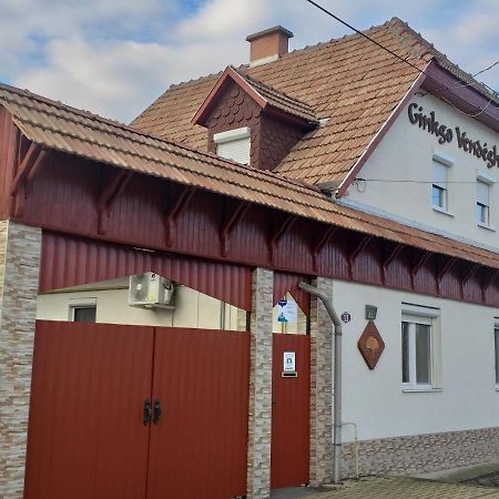 Ginkgo Apartman Demjén Exteriér fotografie