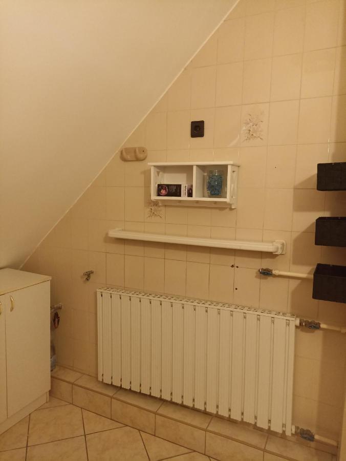 Ginkgo Apartman Demjén Exteriér fotografie