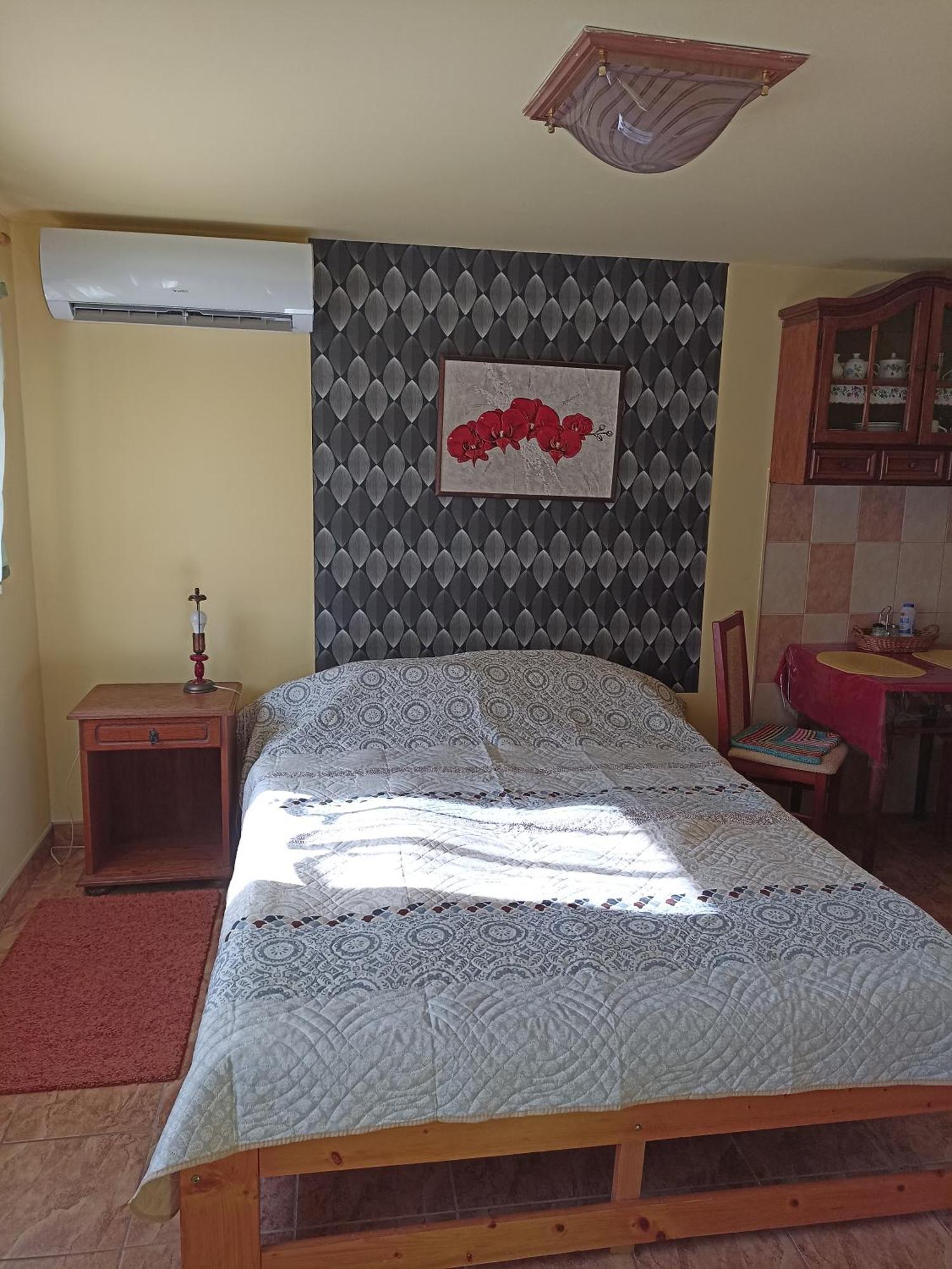 Ginkgo Apartman Demjén Exteriér fotografie