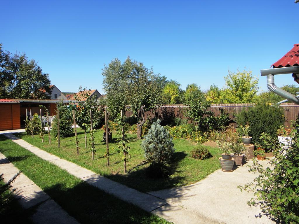 Ginkgo Apartman Demjén Exteriér fotografie